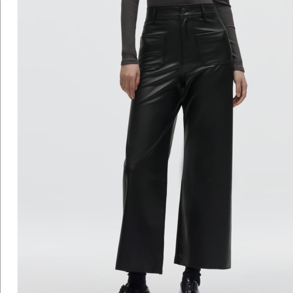 NWT Zara Marine Pant